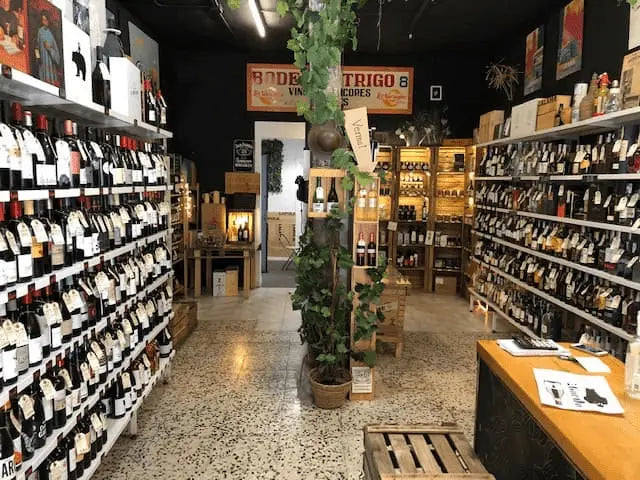 Vinoteca-en-Madrid.webp__PID:dde20a22-5768-42e6-97e6-1203a80350c9