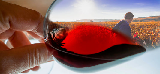 Lo que deberías saber de las Denominaciones de Origen de los vinos españoles