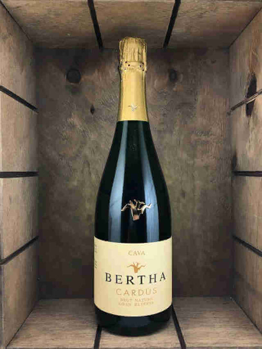 botella cava Bertha cardus